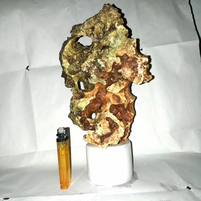 batu karang bonsai L,..program bonsai on the rock.santigi,sancang.dll.