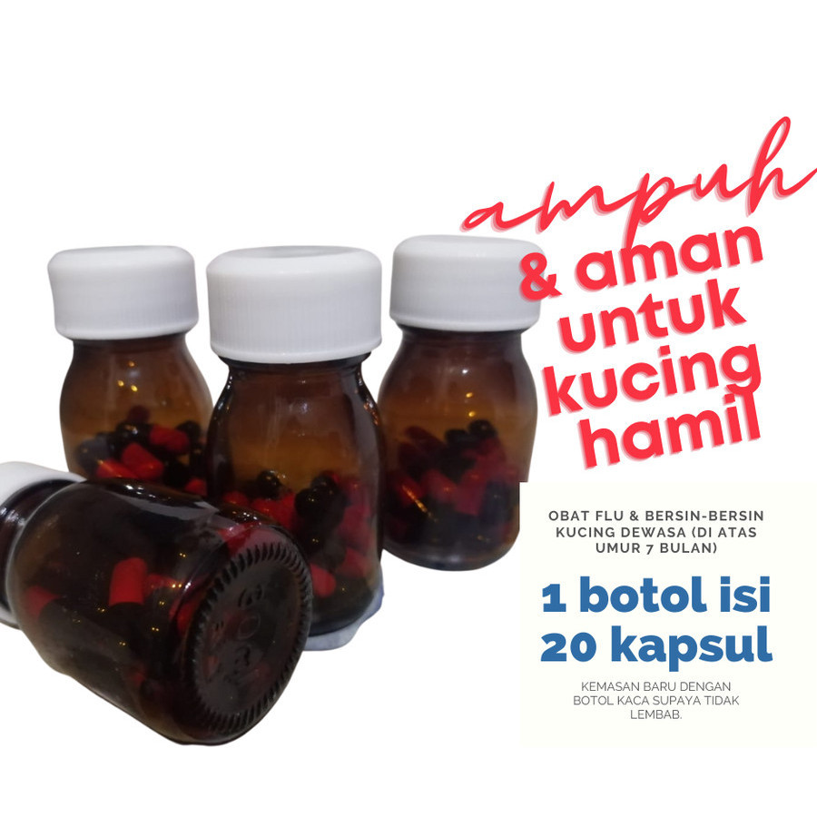 OBAT FLU KUCING (DEWASA) AMPUH & AMAN JUGA BUAT KUCING HAMIL