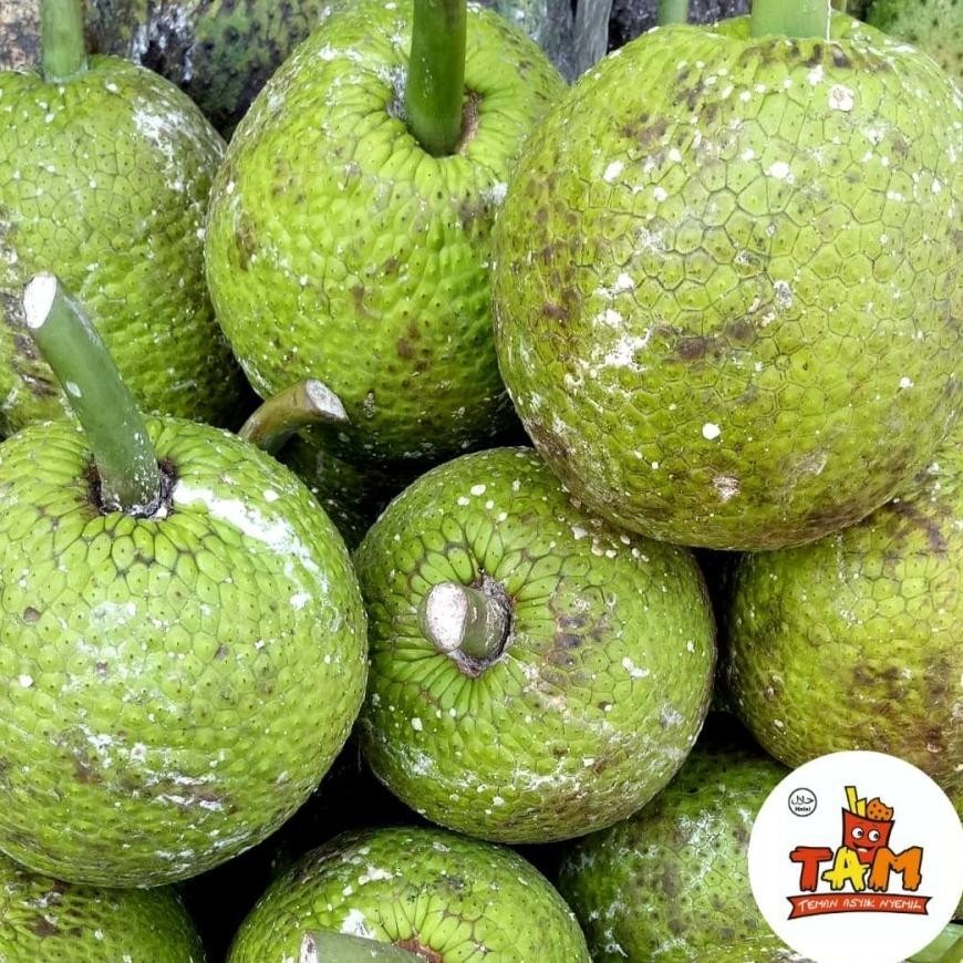 

CR - Stik Sukun Gurih Asli Cilacap 250 Gram - Tam Snack TERLARIS