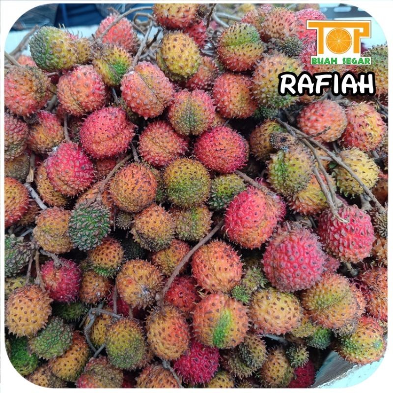 

RAMBUTAN RAFIAH 1KG manis fresh tanpa ranting // Top buah segar