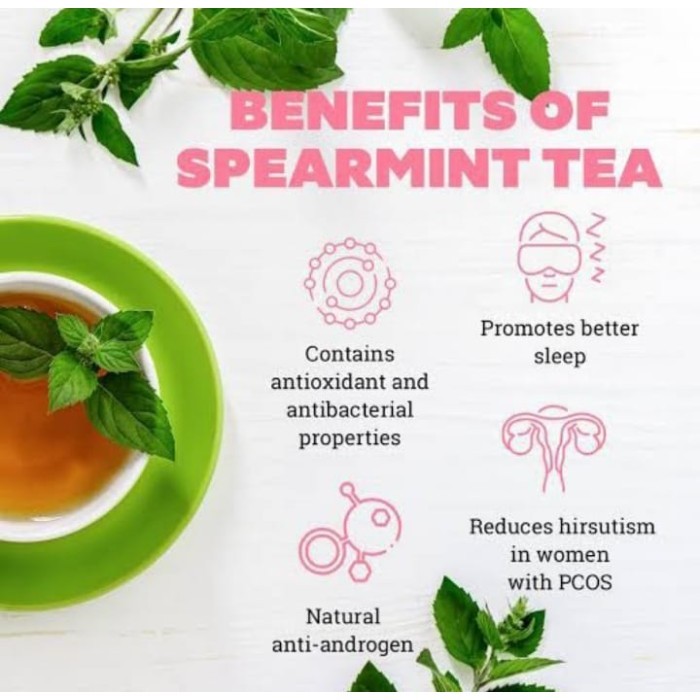 

Organic Dried Spearmint Leaf Tea (25G)