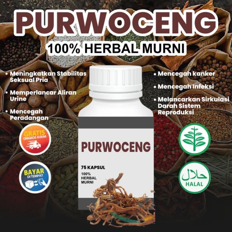 KAPSUL PURWOCENG KEMASAN BOTOL 100% AMPUH