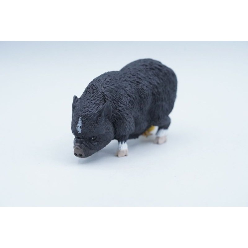 Boar Babi Hutan Wild Boar Babirusa Babi Hutan Celeng Sus Scrofa Animal Figure Pajangan Mainan Koleks