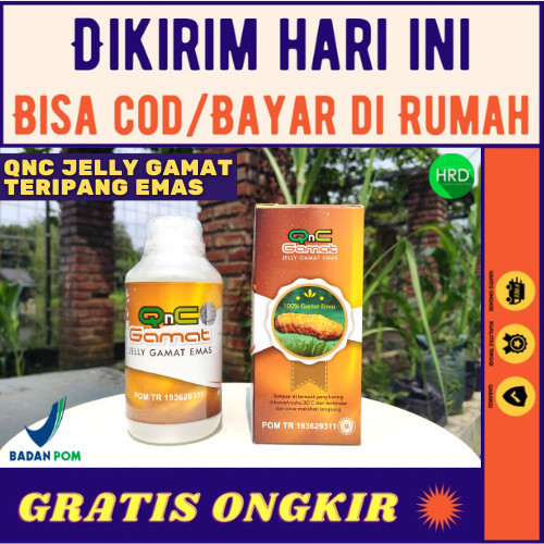 

QnC Jelly Gamat Terlaris 100% Asli Emas - Jely - Jeli - Q n C - Gold G