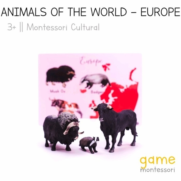 

GAME MONTESSORI ANIMALS OF THE WORLD- FIGUR MINIATURE BINATANG DUNIA