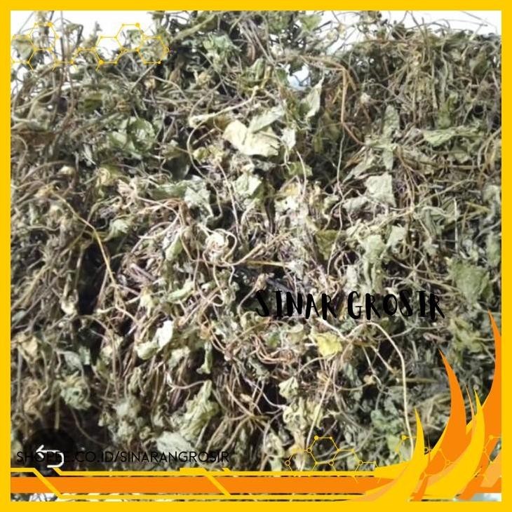 

DAUN PEGAGAN KERING 100GR - ANTANAN - DAUN KAKI KUDA ASLI BERKUALIAS