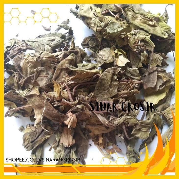 

DAUN KEMANDEN KERING ASLI 1KG / DAUN SENGGANI KERING PRODUK PILIHAN