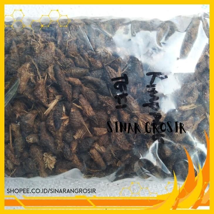 

RIMPANG RUMPUT TEKI / UMBI SUKET TEKI , 1KG - SURABAYA PRODUK PILIHAN