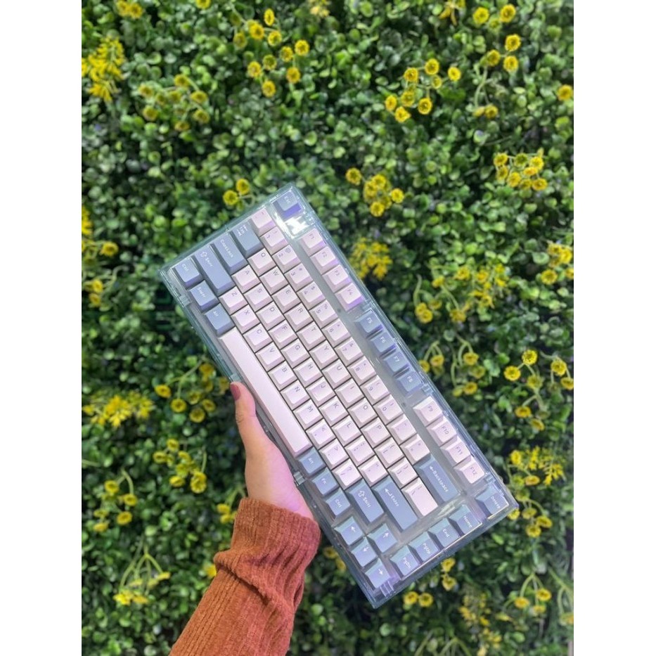 Rexus Daxa M84X Ultimate Wireless Gaming Rgb Keyboard M84 X M 84