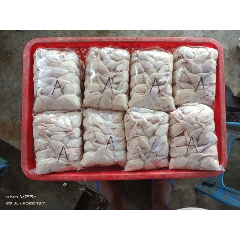 

Daging Burung Puyuh Size A, 1 Pack Isi 10 Ekor -Gratisongkir