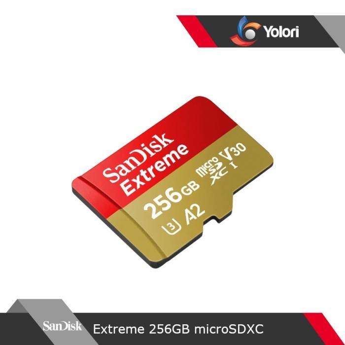 Sandisk Extreme 256Gb Microsdxc - Sdsqxav-256G-Gn6Gn