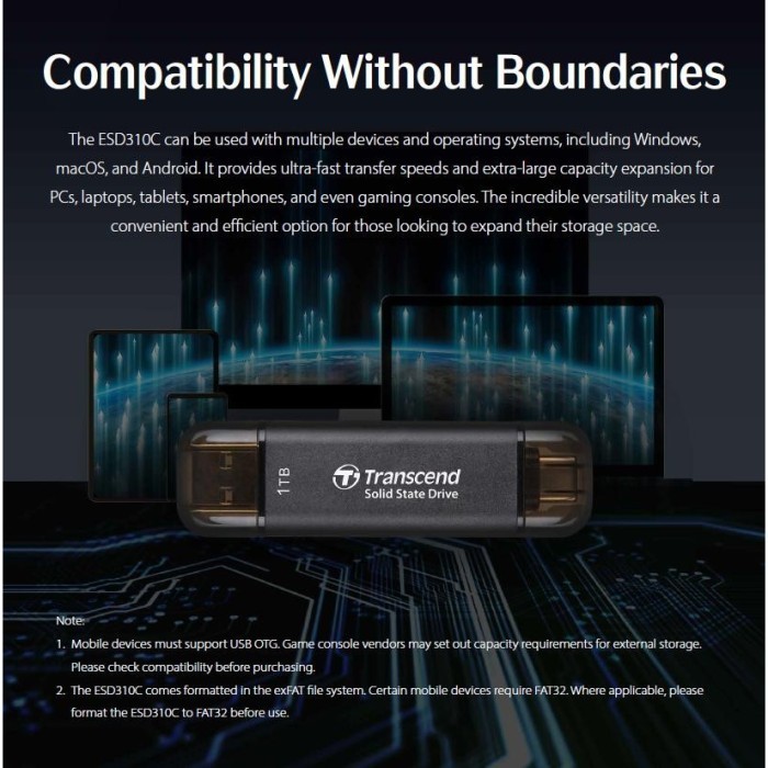 Transcend Ssd Portable Esd310 256Gb - 256 Gb Usb 3.2 Type C