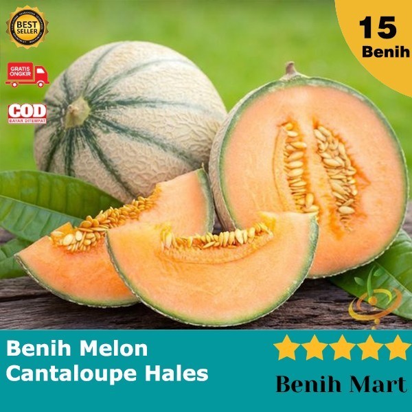 Benih Bibit Melon Cantaloupe Hales Best Jumbo Bibit Buah Biji Melon TOP