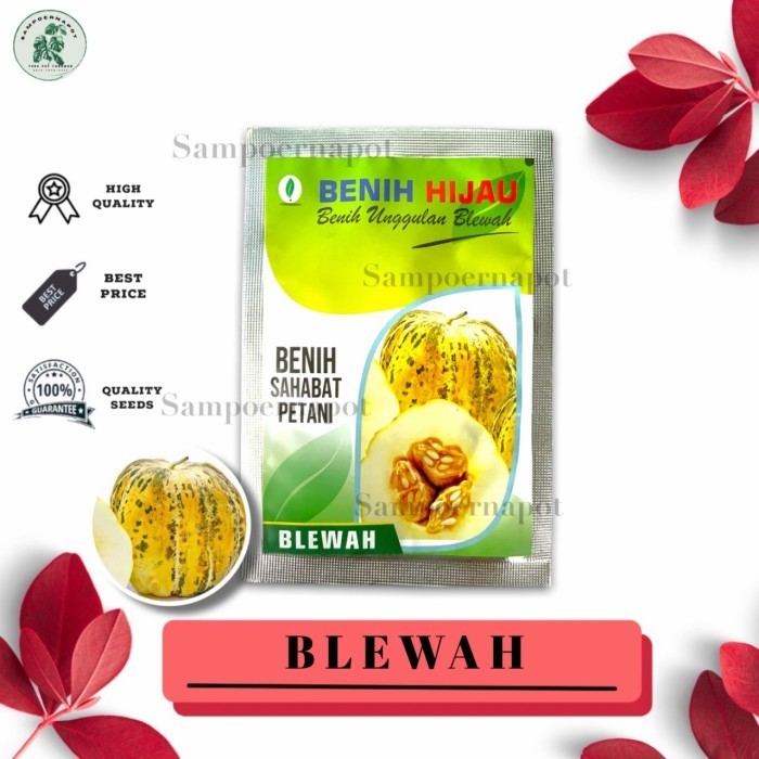 benih bibit buah blewah kemasan benih hijau - BENIH HIJAU BLEWAH TOP