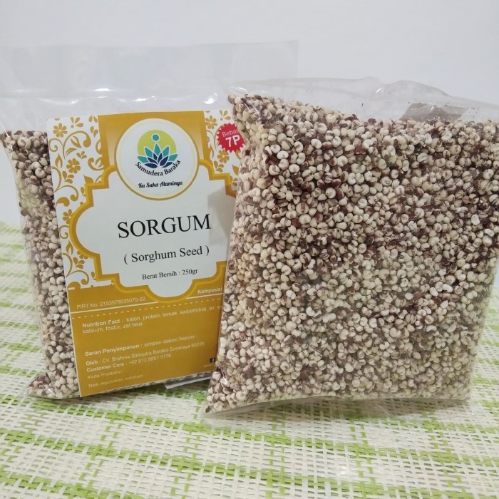 

PROMO SORGUM / SORGHUM / CANTEL LOKAL TERLARIS SURABAYA