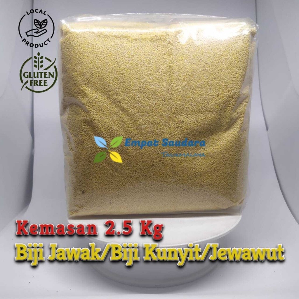 

BIJI JAWAK / BIJI KUNYIT / JEWAWUT / SEKOI / FOXTAIL MILLET KEMASAN 2500 GR