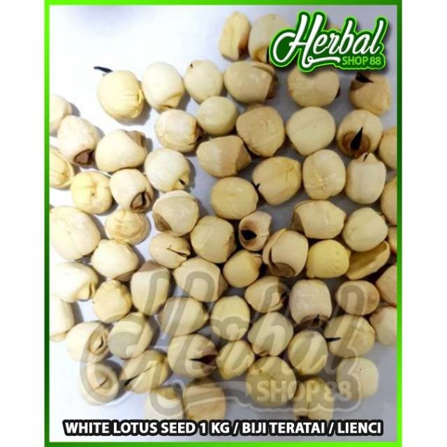 

White Lotus Seed 1 kg / Biji Teratai / Lienci