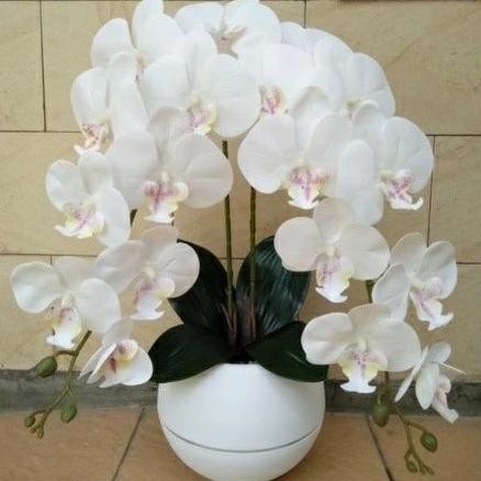 Anggrek Latex Putih 2 Tangkai Set Pot Anggrek Bulan Hias Artificial