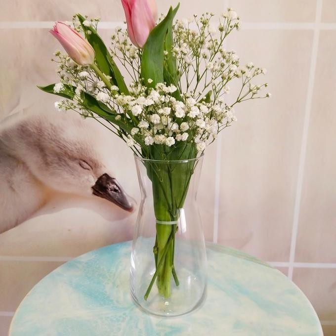 Vas Kaca Tinggi 20 Cm / Vas Bunga Kaca