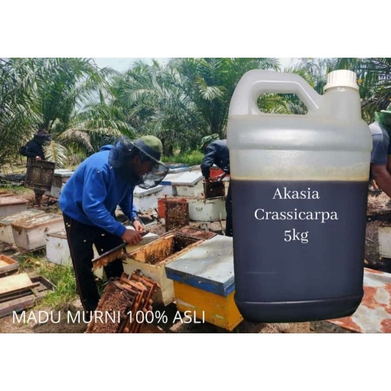 

Madu hitam akasia isi 5kg by madu ponyo honey