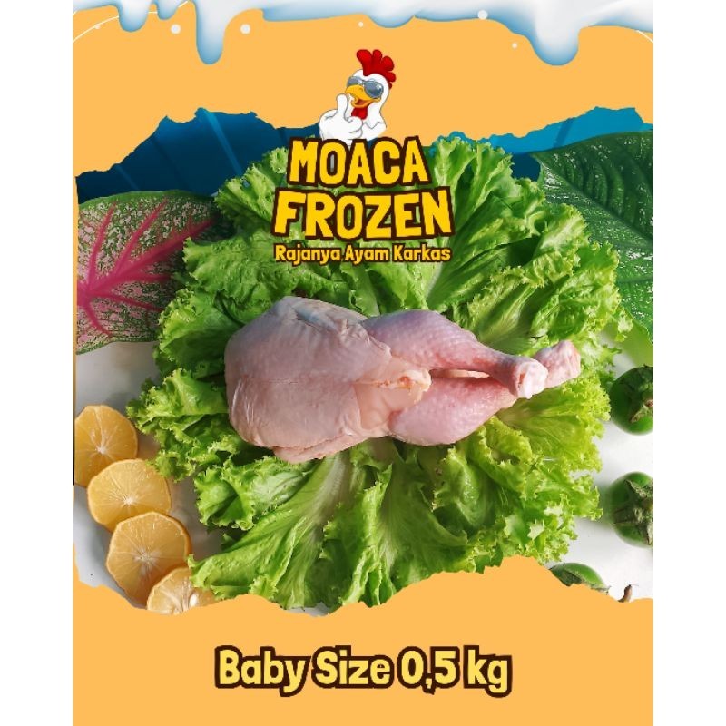 

Ayam Karkas Boiler Best Multisize A1 (0,5) kg