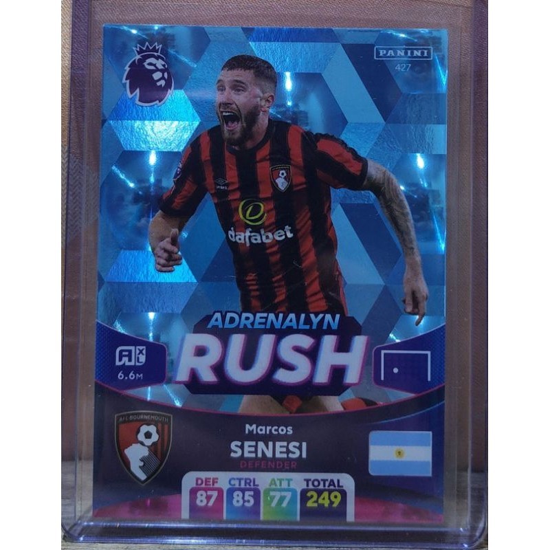 panini football card premier league edition