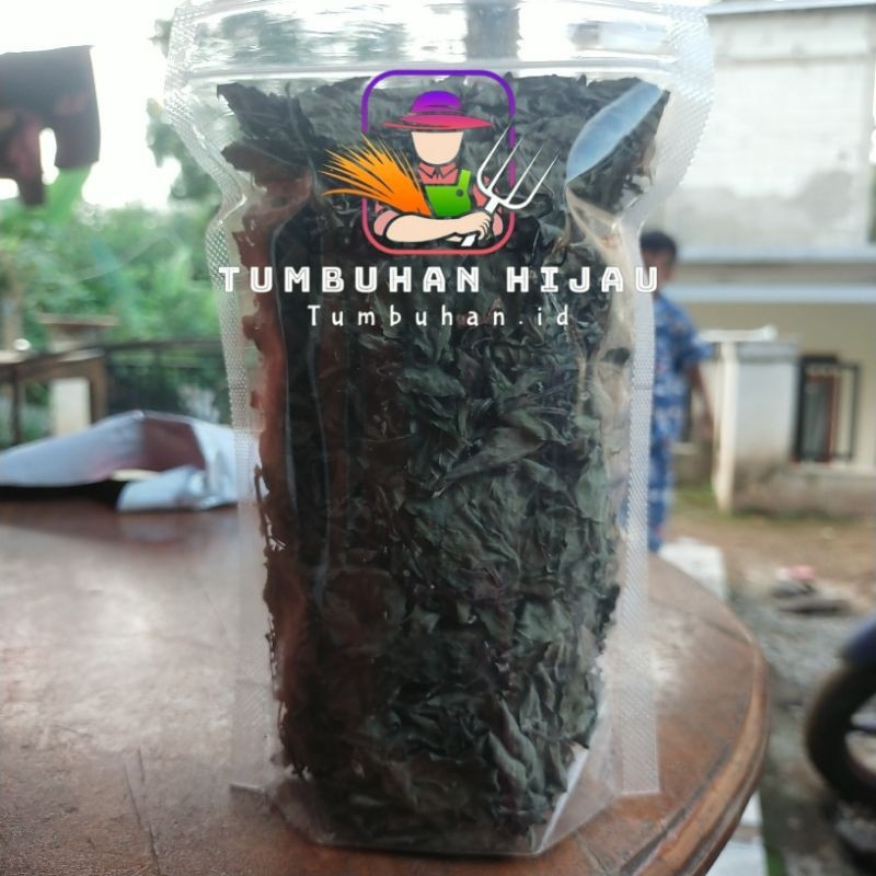 

Daun Kumis Kucing Kering Kumis Kucing Kering dan Alami