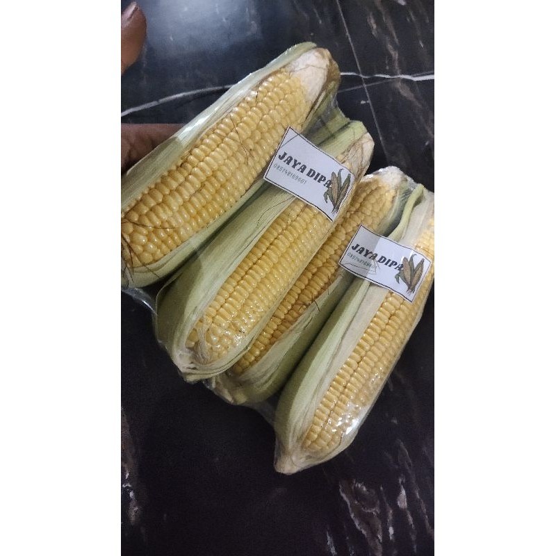 

jagung manis tanggung