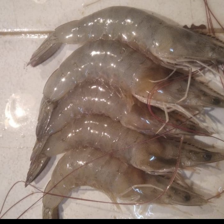 

udang peci besar isi 20-25/500gram
