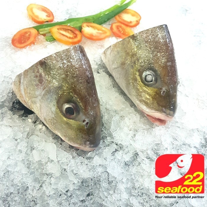 

Ayala - Ikan Gerot / Kepala Ikan 1 Kg Isi 2-4 Pcs / Ikan Beku / Seafood 22