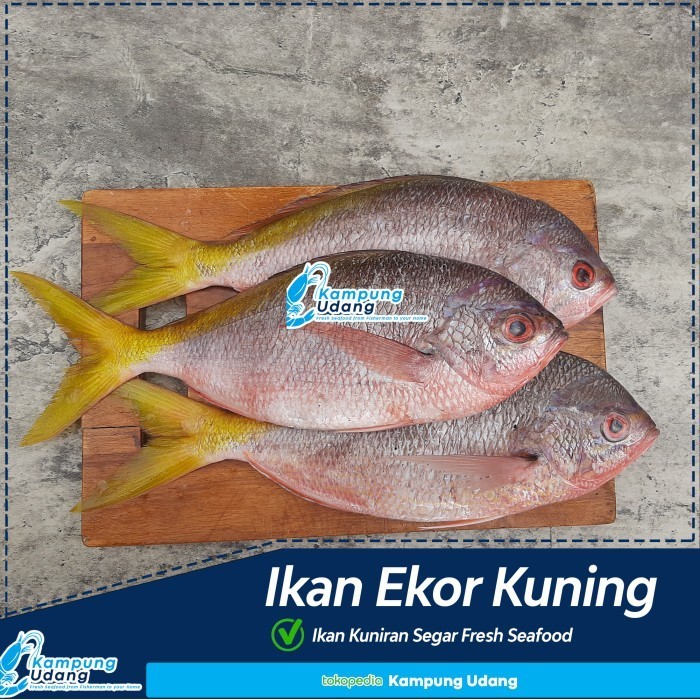 

Ayala - Ikan Kuniran Segar/Ikan Ekor Kuning (Bersih Sisik) Fresh/Ikan Seafood