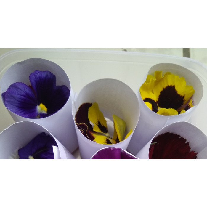 

EDIBLE FLOWER- PANSY KUALITAS PRODUK TERBAIK