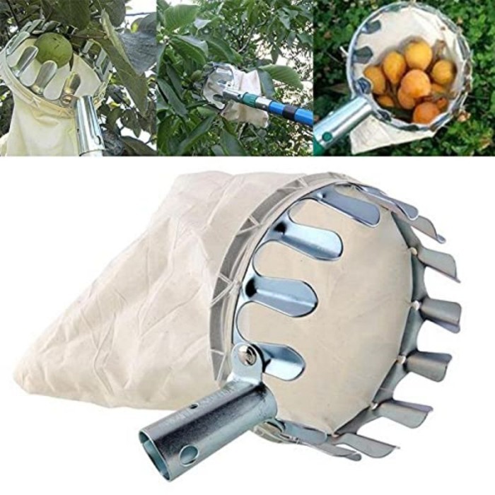 Alat Pemetik Buah Alat Pengambil Buah Fruit Picker