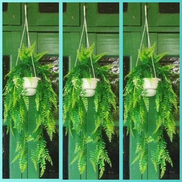 3 set pot gantung dan bunga juntai kemuning artificial plastik