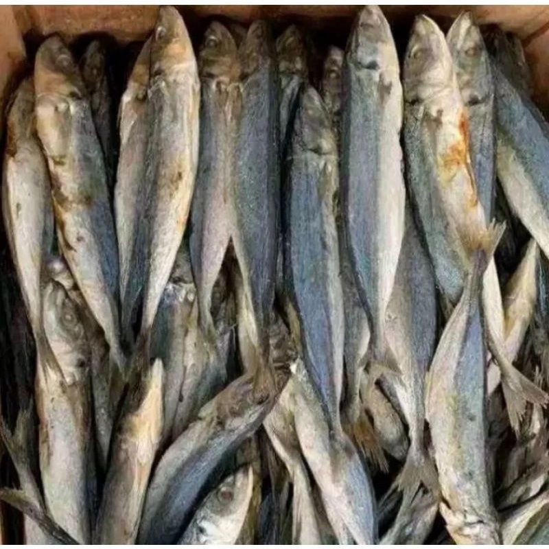 

IKAN ASIN KLOTOK 300gram
