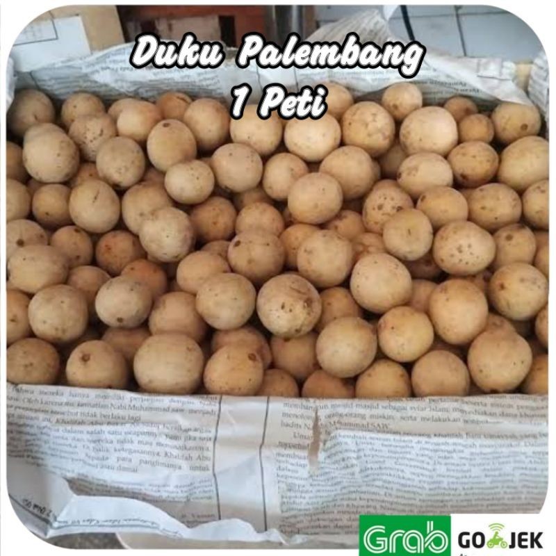 

Duku Palembang 1 Peti berat 13 Kg Manis Fresh