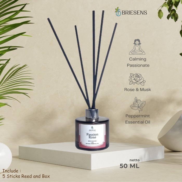 Briesens Reed Diffuser Aromatic Diffuser Diffuser Humidifier