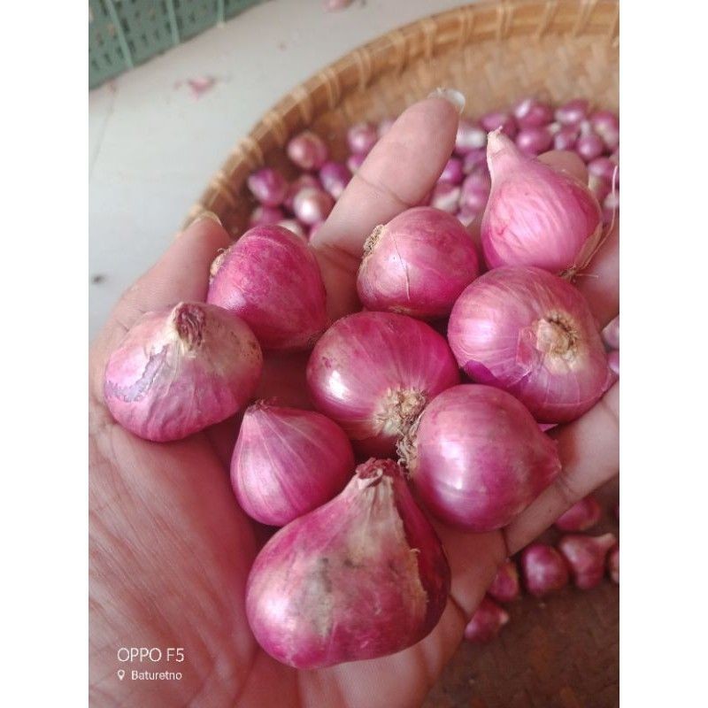 

BAWANG MERAH BREBES 500 GRAM