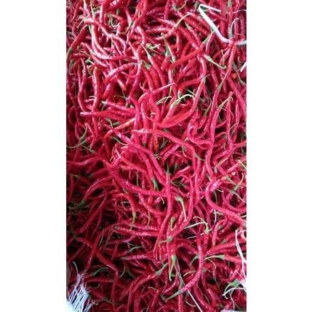 

Cabe / Cabai Kriting Merah Segar / Kg