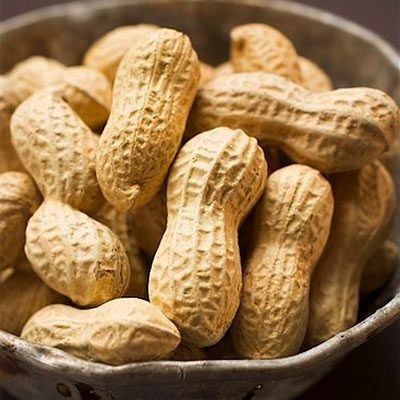 

KedaiBenih Kacang Tanah Kulit Segar ~ 500 Gram