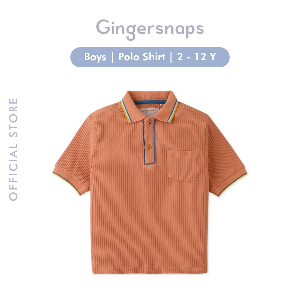Gingersnaps Hodgepodge Polo Brown - Kaos Polo Anak Laki-laki
