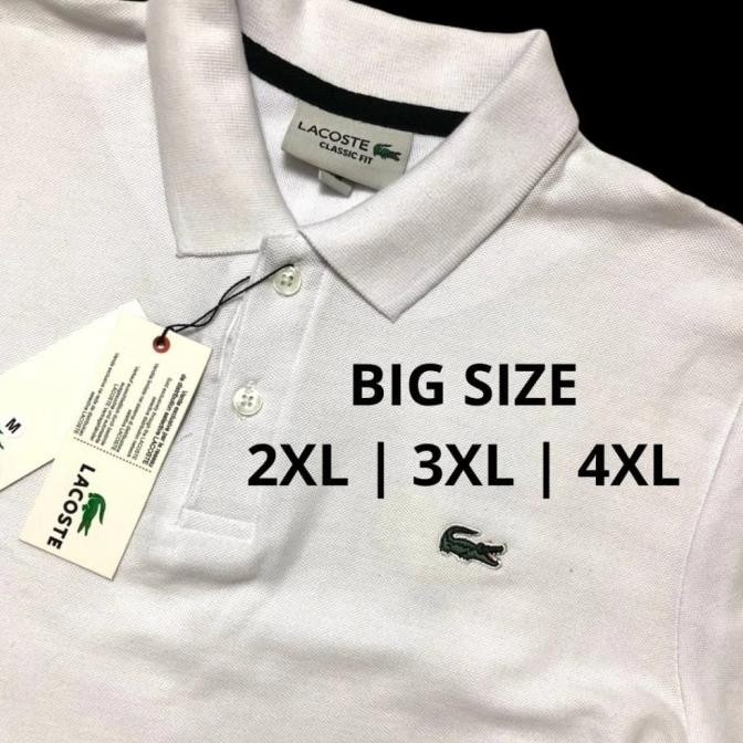 Big Size Kaos Polo Pria Dewasa / Kaos Polo Seragam Pria Gemuk