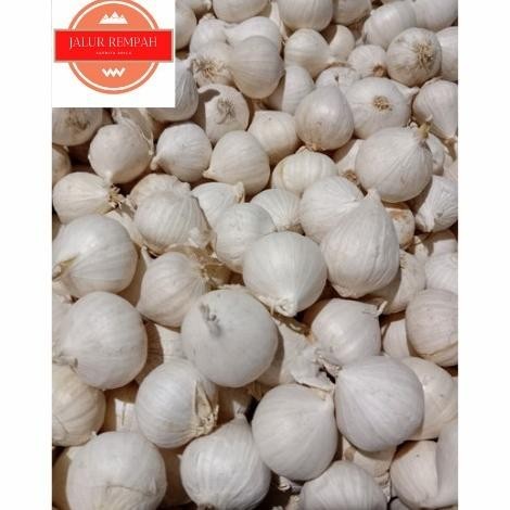 

bawang putih tunggal 1kg lanang