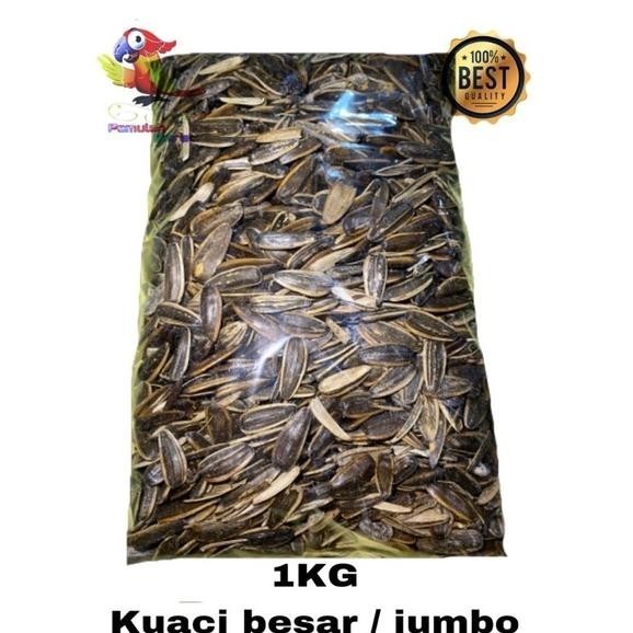 Terlaris Pakan Burung Kuaci Besar Kuaci Jumbo 1Kg Kakak Tua Kuaci Besar 1 Kg
