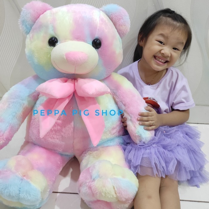 Boneka Teddy Bear Beruang Rainbow