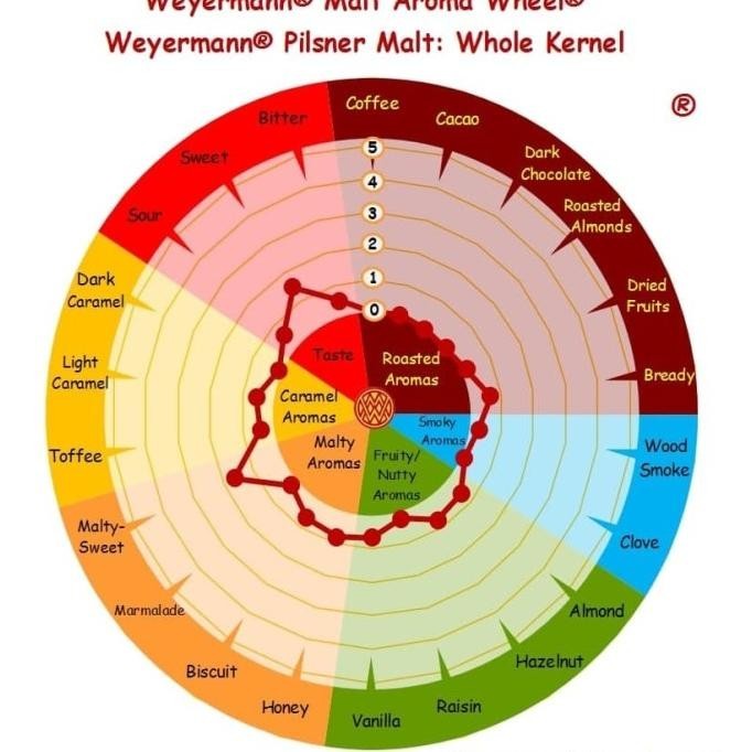 

Weyermann Pilsner Malt 2.5-4.5 Ebc 1000Gr Germany