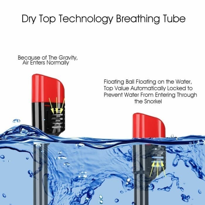 Snorkling Diving Scuba Snorkle Snorkeling Full Face Diving