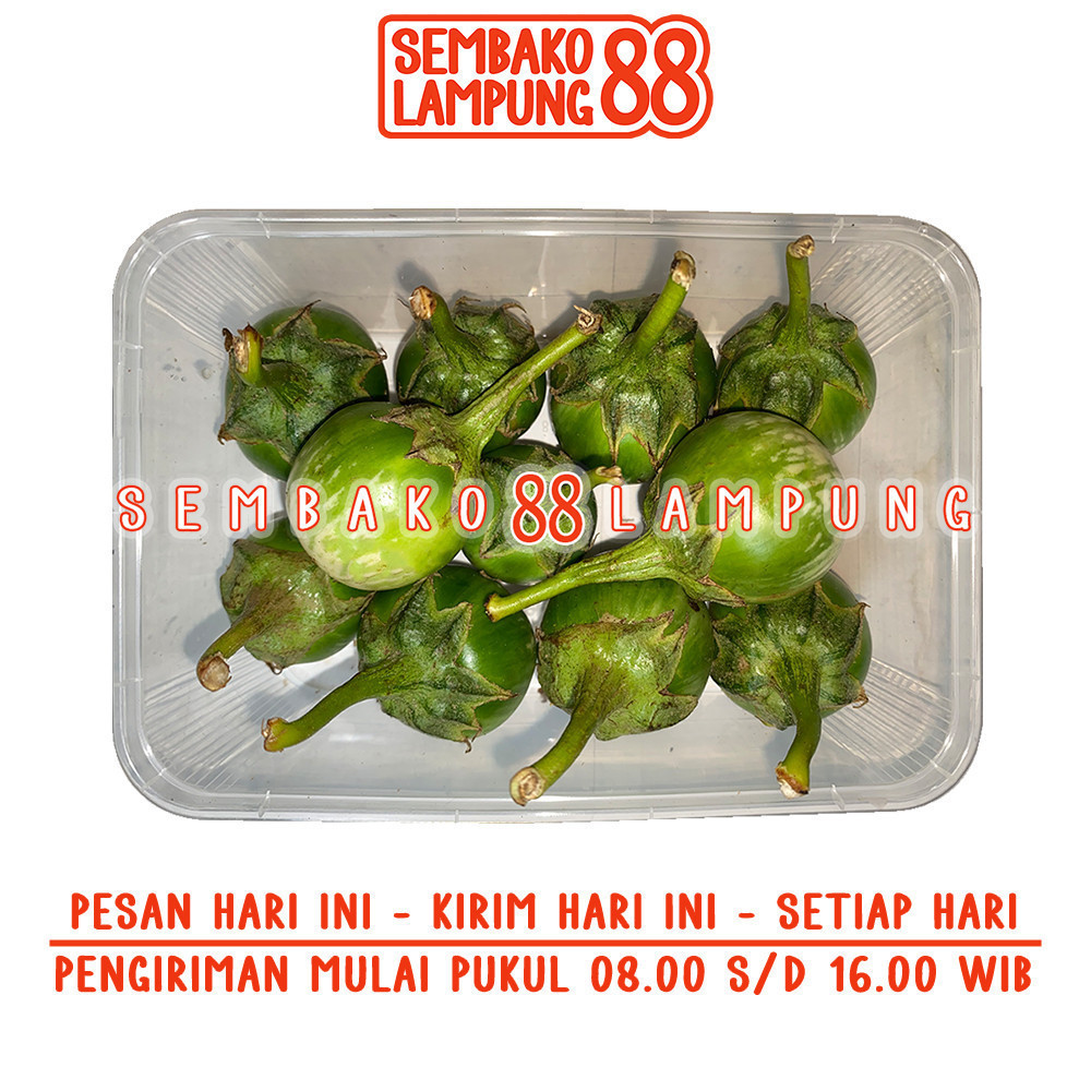 

Terong Lalap Hijau 250 Gr | Sembako Lampung 88