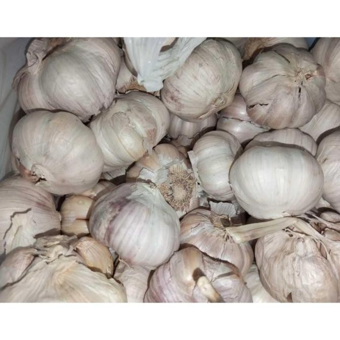 

TERLARIS Bawang Putih Honan Bersih Per Ball - Shuffel MURAH