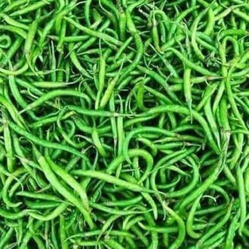 

Cabe / Cabai Hijau Keriting 1 Kg Lombok Fresh Murah Madium